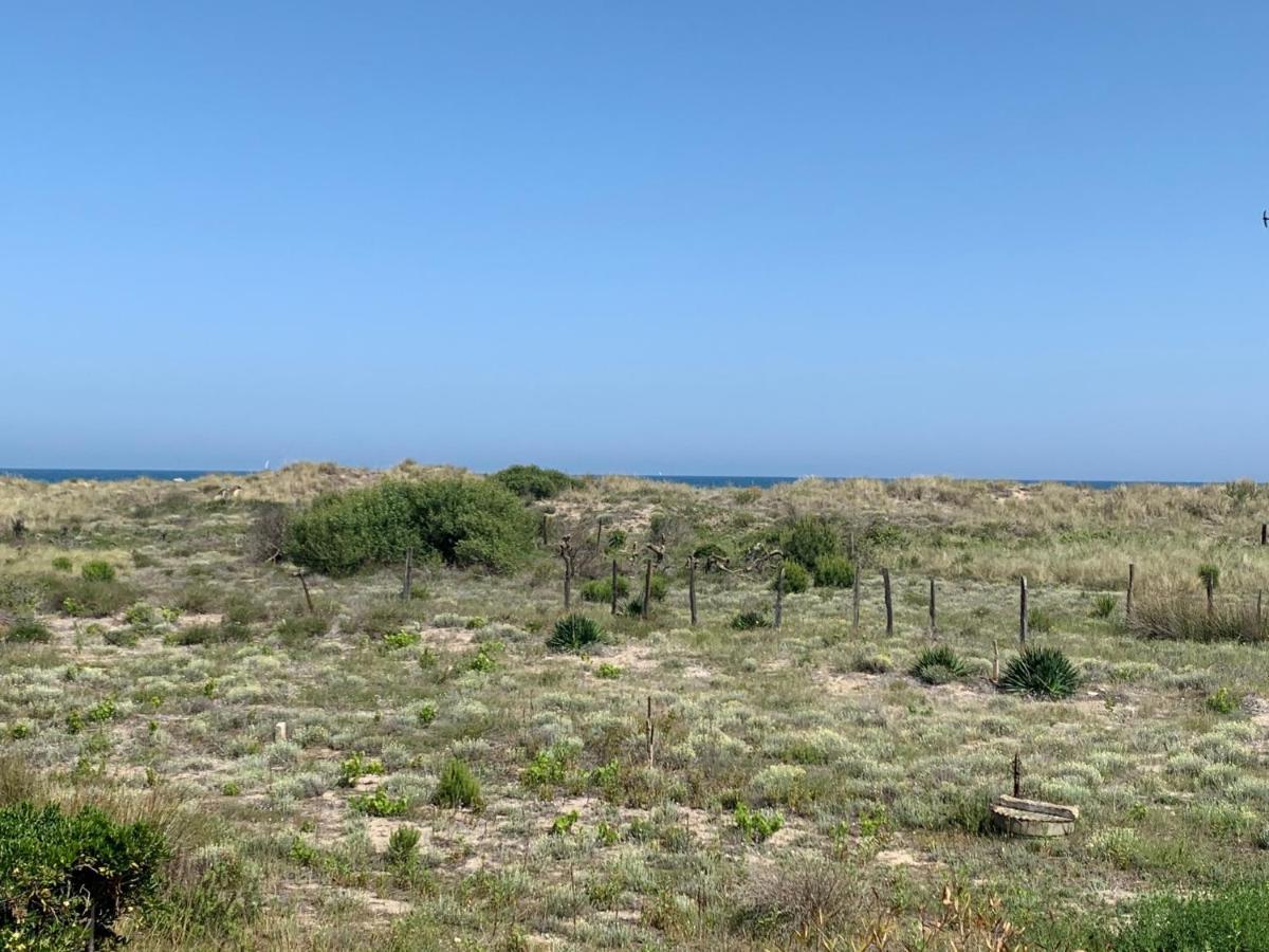 Mon Petit Paradis, Vue Sur Dunes Et Mer, Acces Direct Plage Robinson, Terrasse, Parking Prive, Tres Ressourcant, A Marseillan Plage Eksteriør bilde